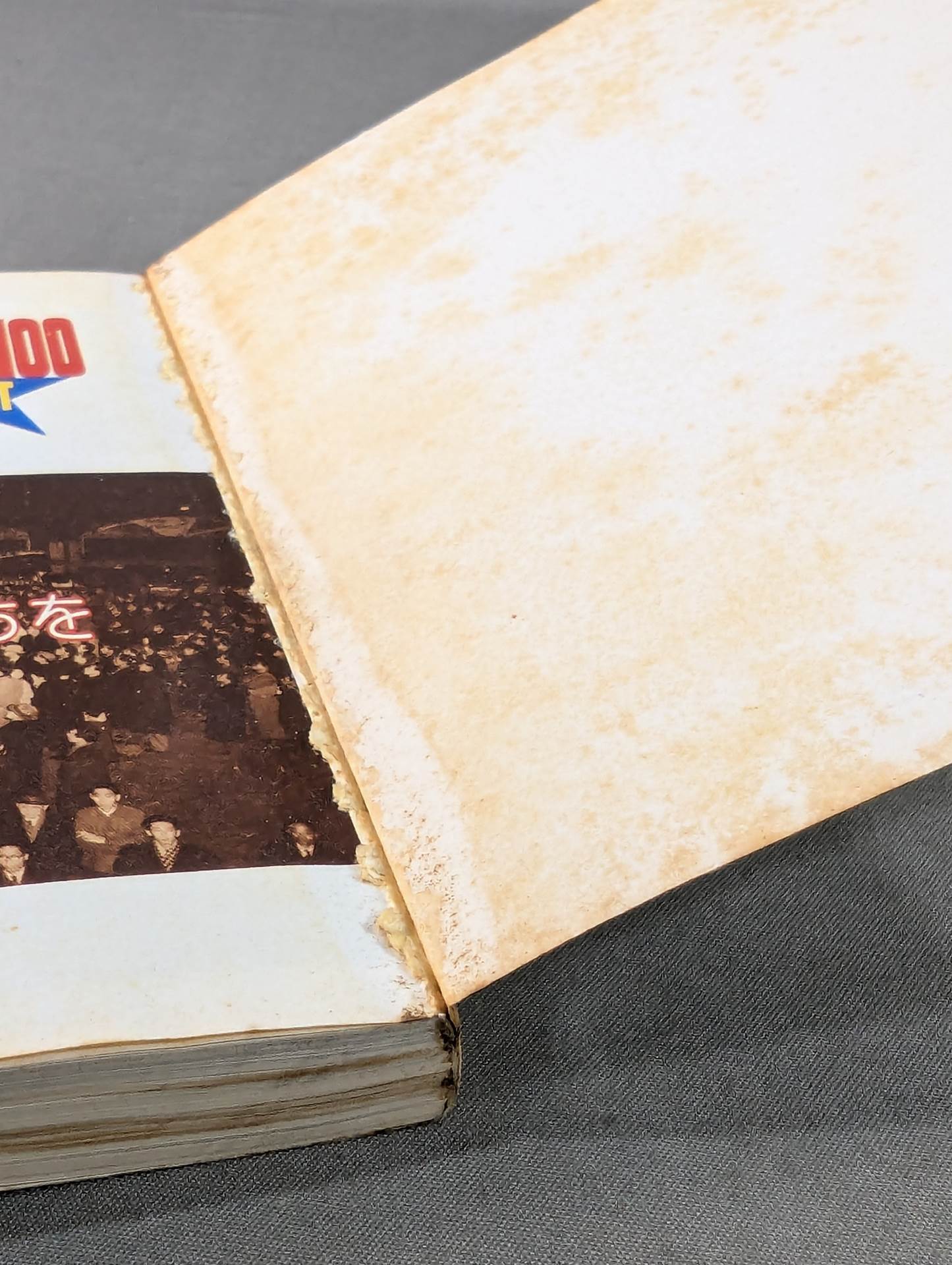 THE WRESTLER BEST 100 (Pocket Edition)