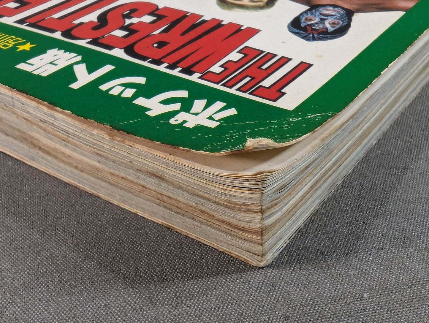 THE WRESTLER BEST 100 (Pocket Edition)