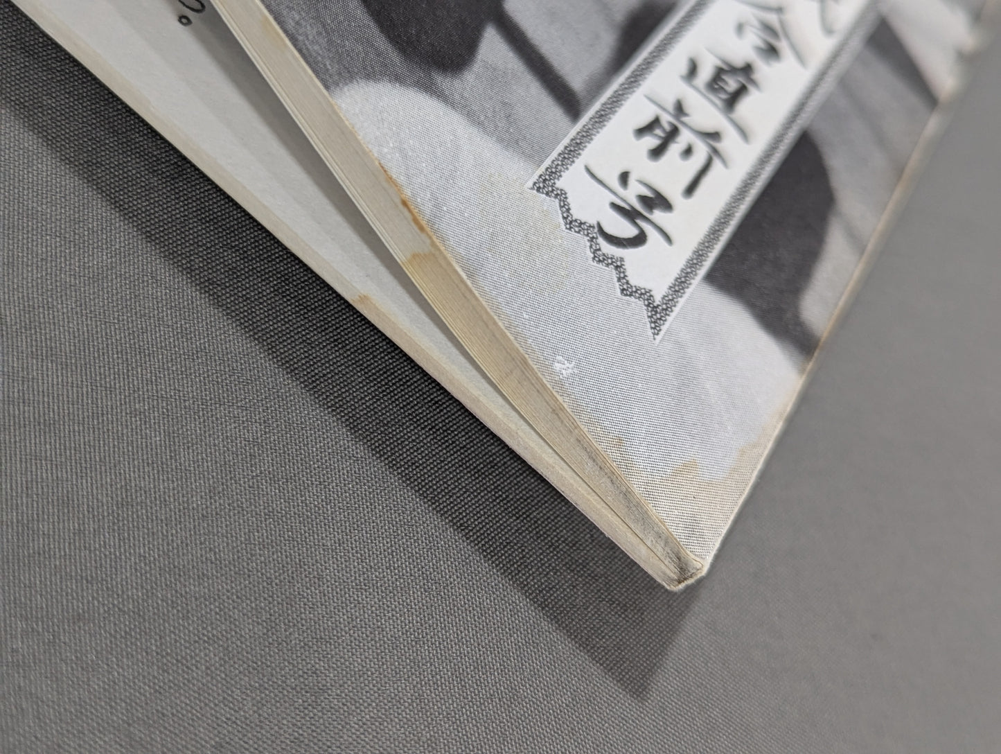 ★藤波辰爾ファンクラブ闘竜★ 会報第63号