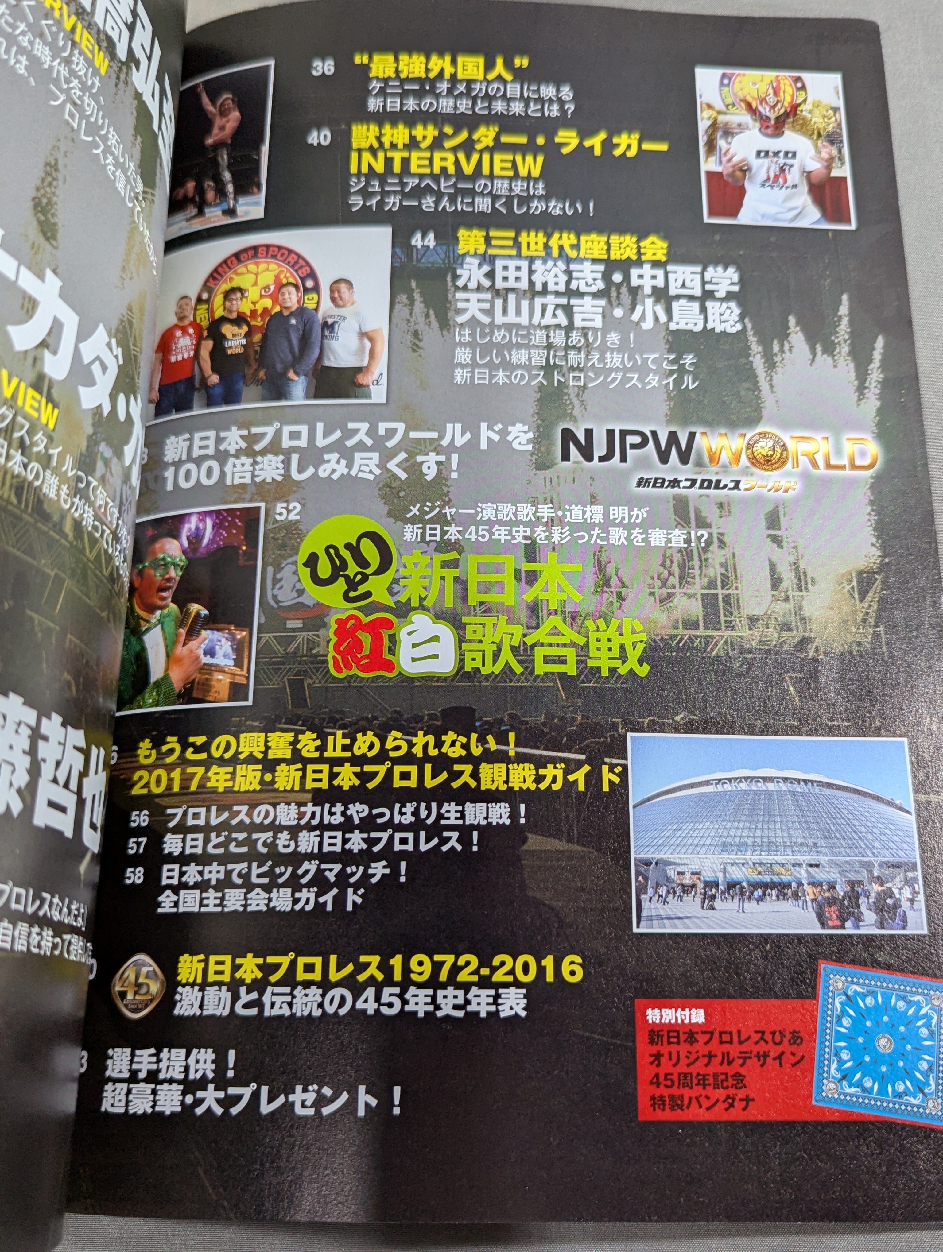 新日本プロレスぴあ2017 45周年メモリアルBOOK – 闘道館