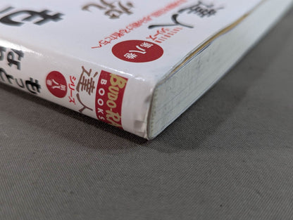 【DVD付】達人シリーズ第八巻 もっと強くなれる 究極ハイキック修得術