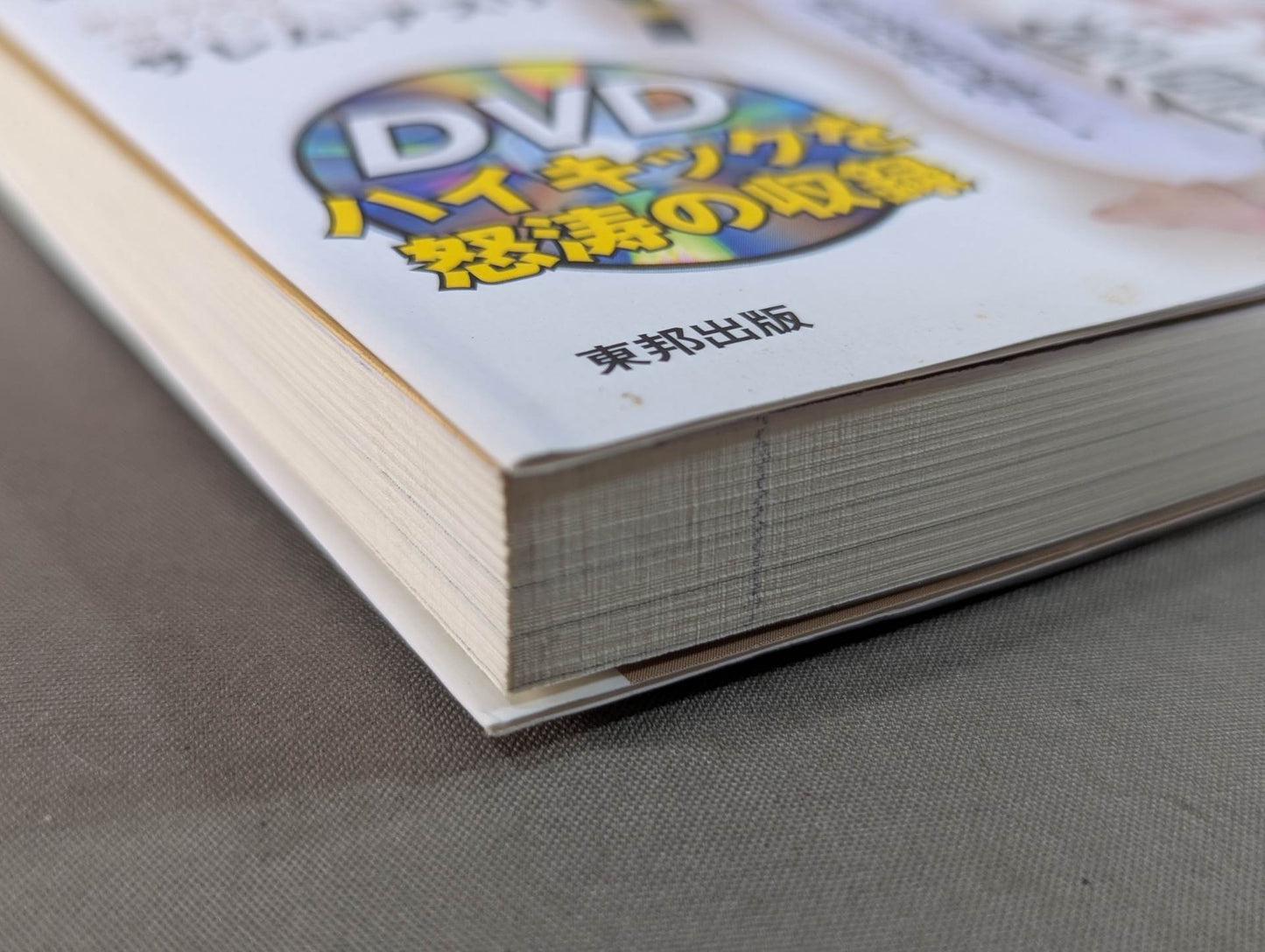 【DVD付】達人シリーズ第八巻 もっと強くなれる 究極ハイキック修得術