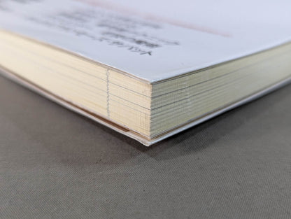 【DVD付】達人シリーズ第八巻 もっと強くなれる 究極ハイキック修得術