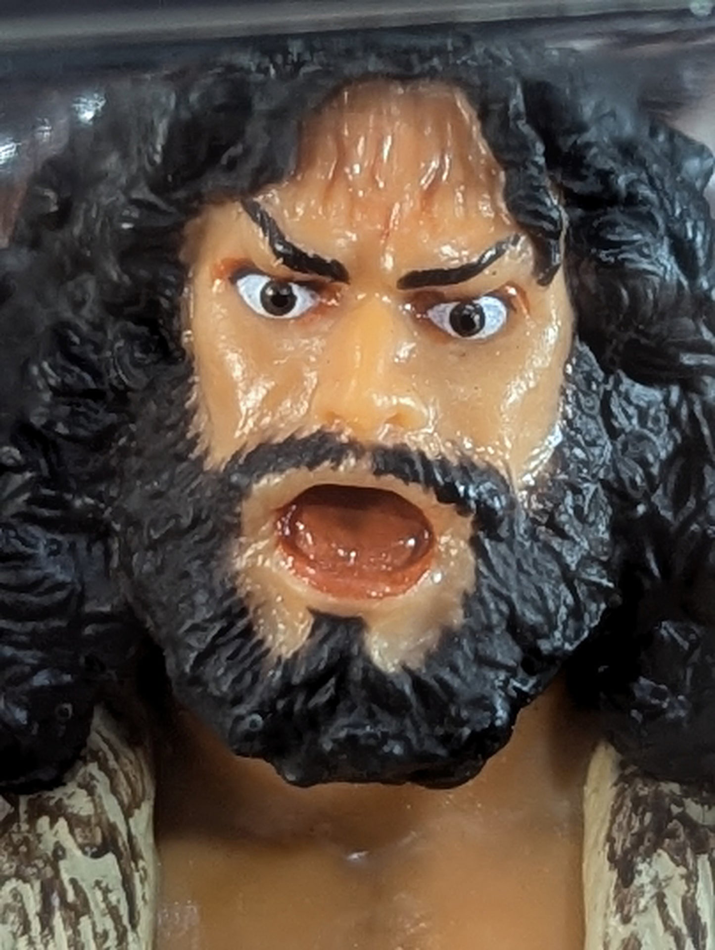 Bruiser Brody  (Shout Ver.)