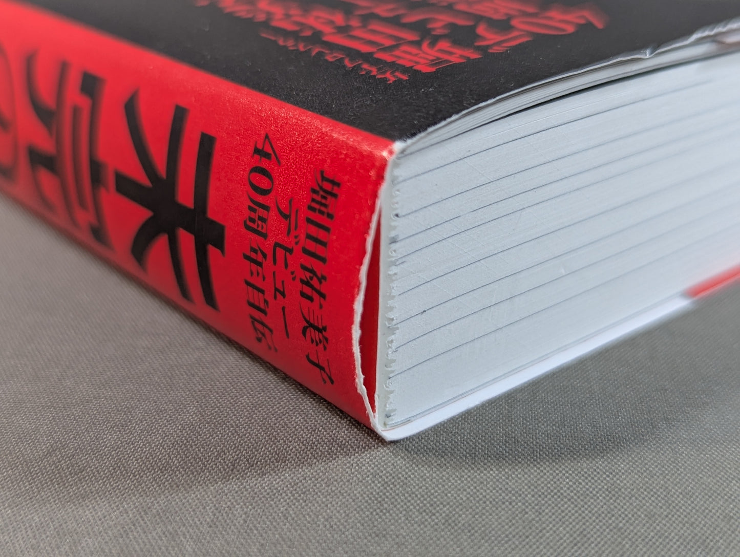 Yumiko Hotta 40th anniversary autobiography of the unfinished