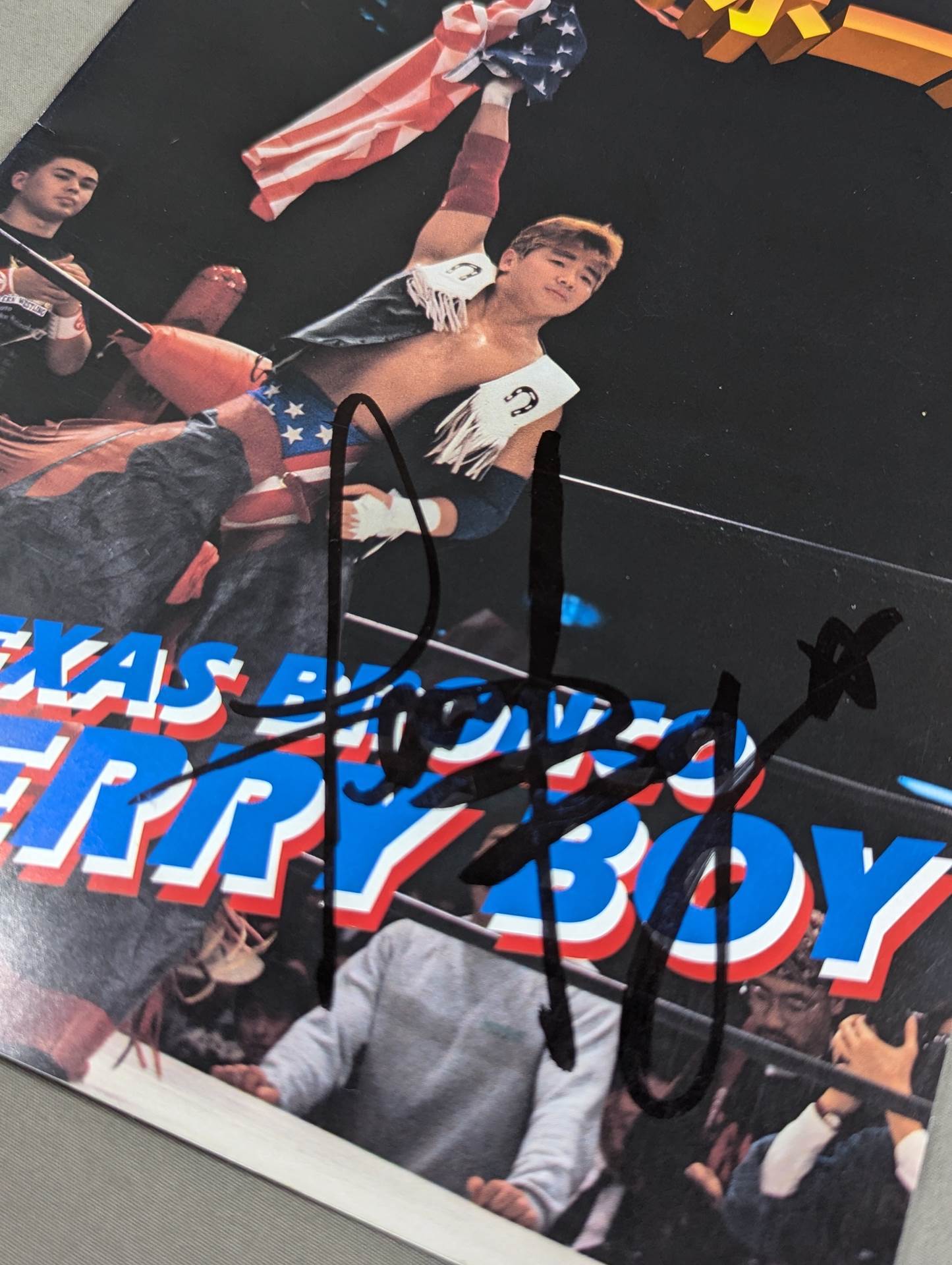 直筆サイン入り】みちのくプロレス・アルバム Vol.2 テリー