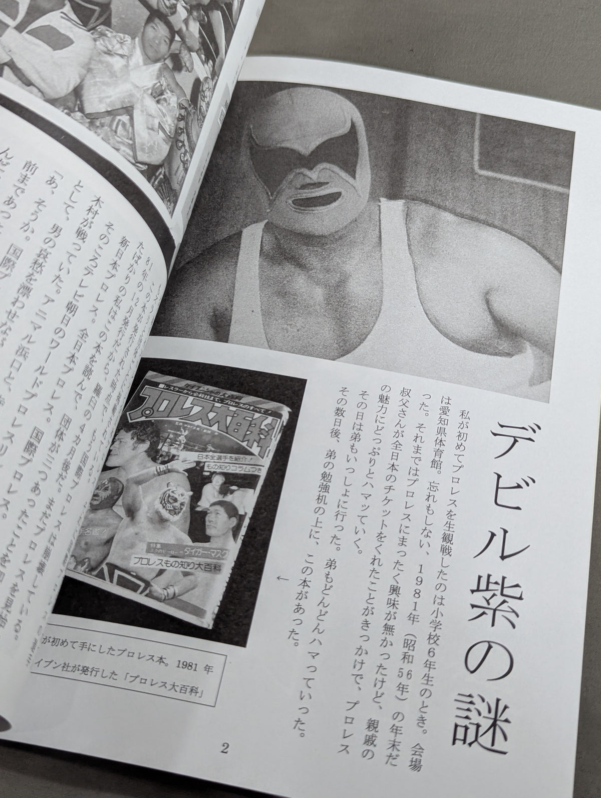 International Pro Wrestling: The Devil Purple Mystery