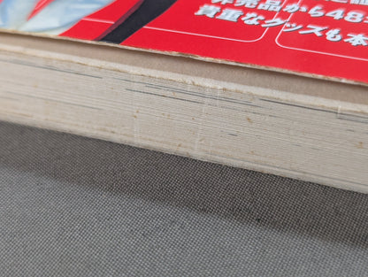 女子プロレス 不滅のお宝読本