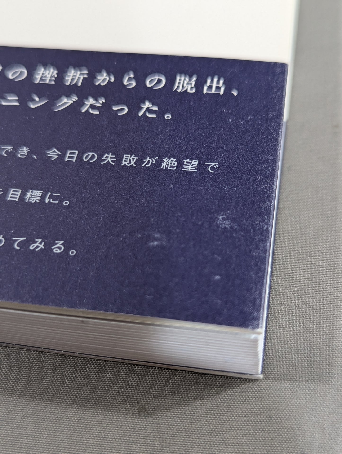 優雅な肉体が最高の復讐である。