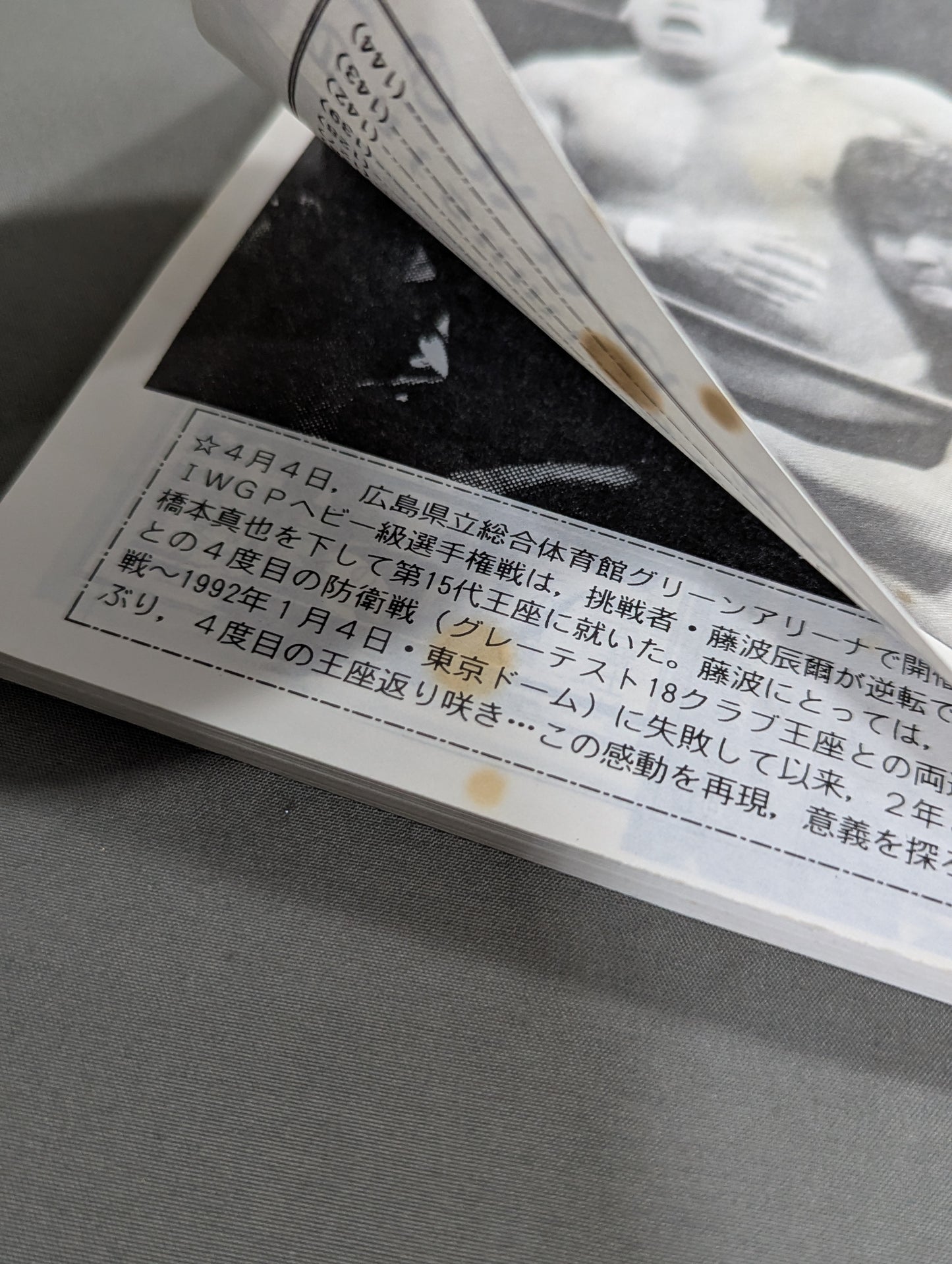 ★藤波辰爾ファンクラブ闘竜★ 会報第61号