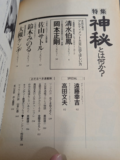 Paper Pro Wrestling 14