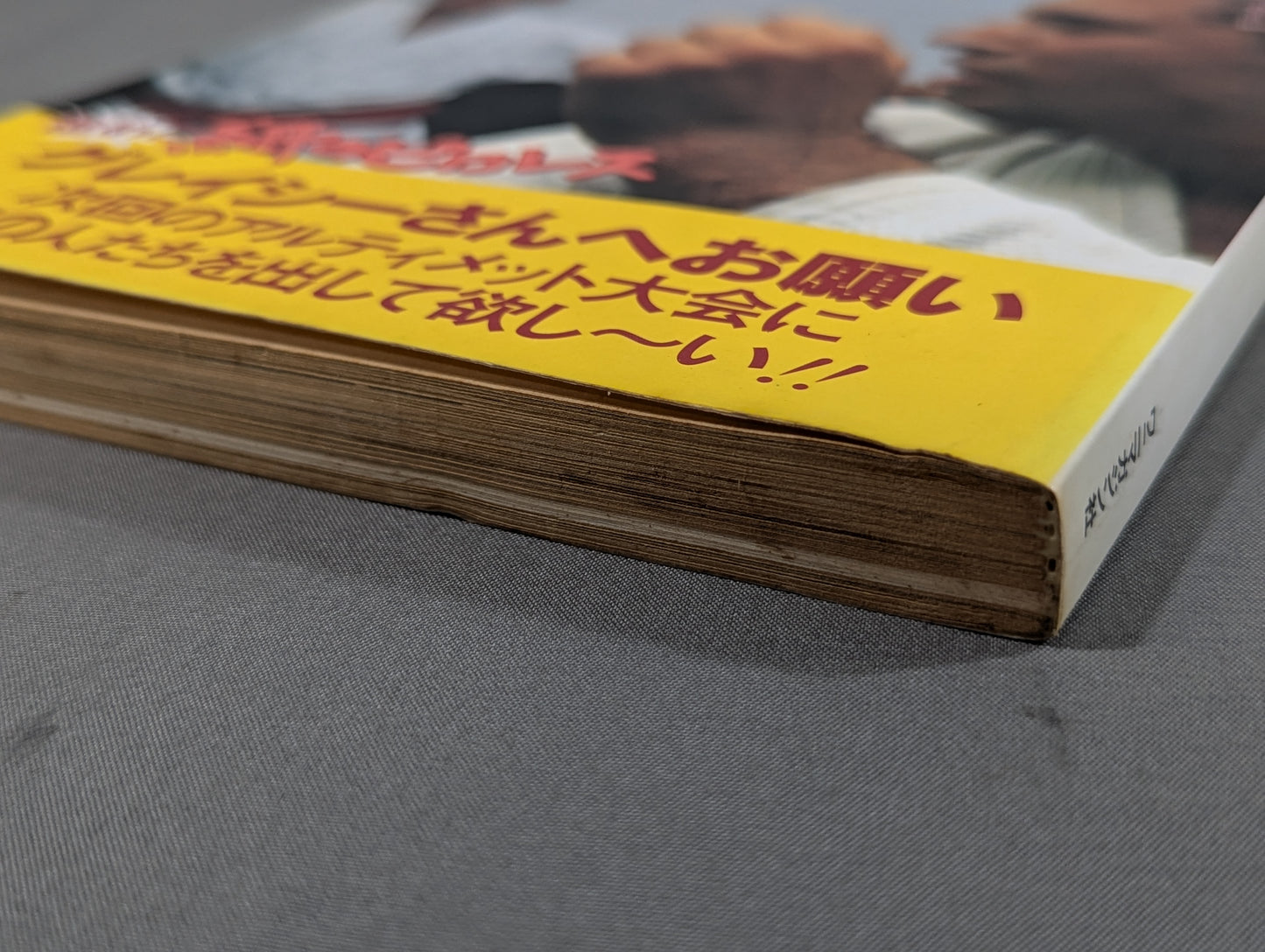 Paper Pro Wrestling 14