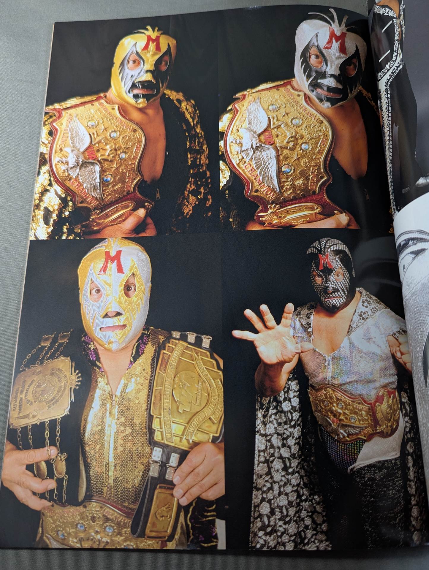 FOTOLIBRE de Mascara Numero.0