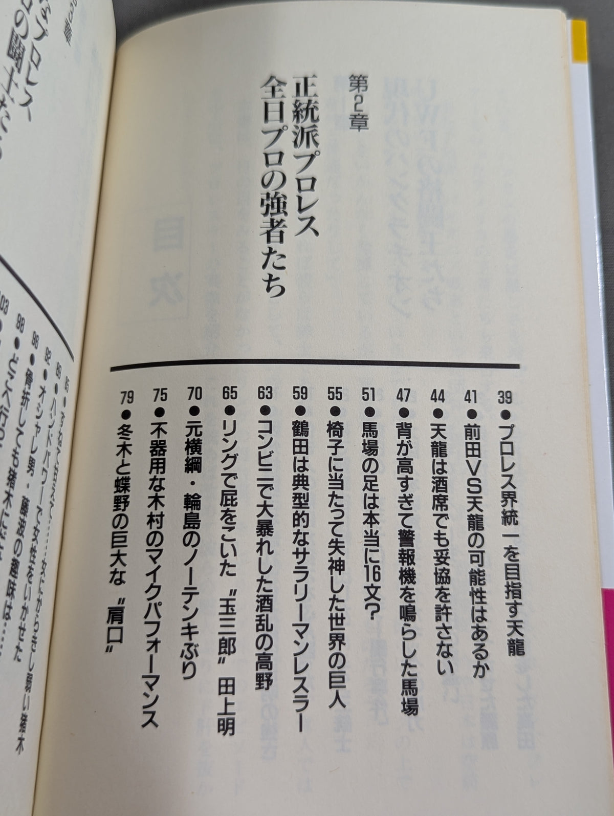 プロレスラーみんなまとめて場外乱闘