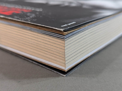 Shinsuke Nakamura  Autobiography King of Strong Style 1980-2004 Volume 1