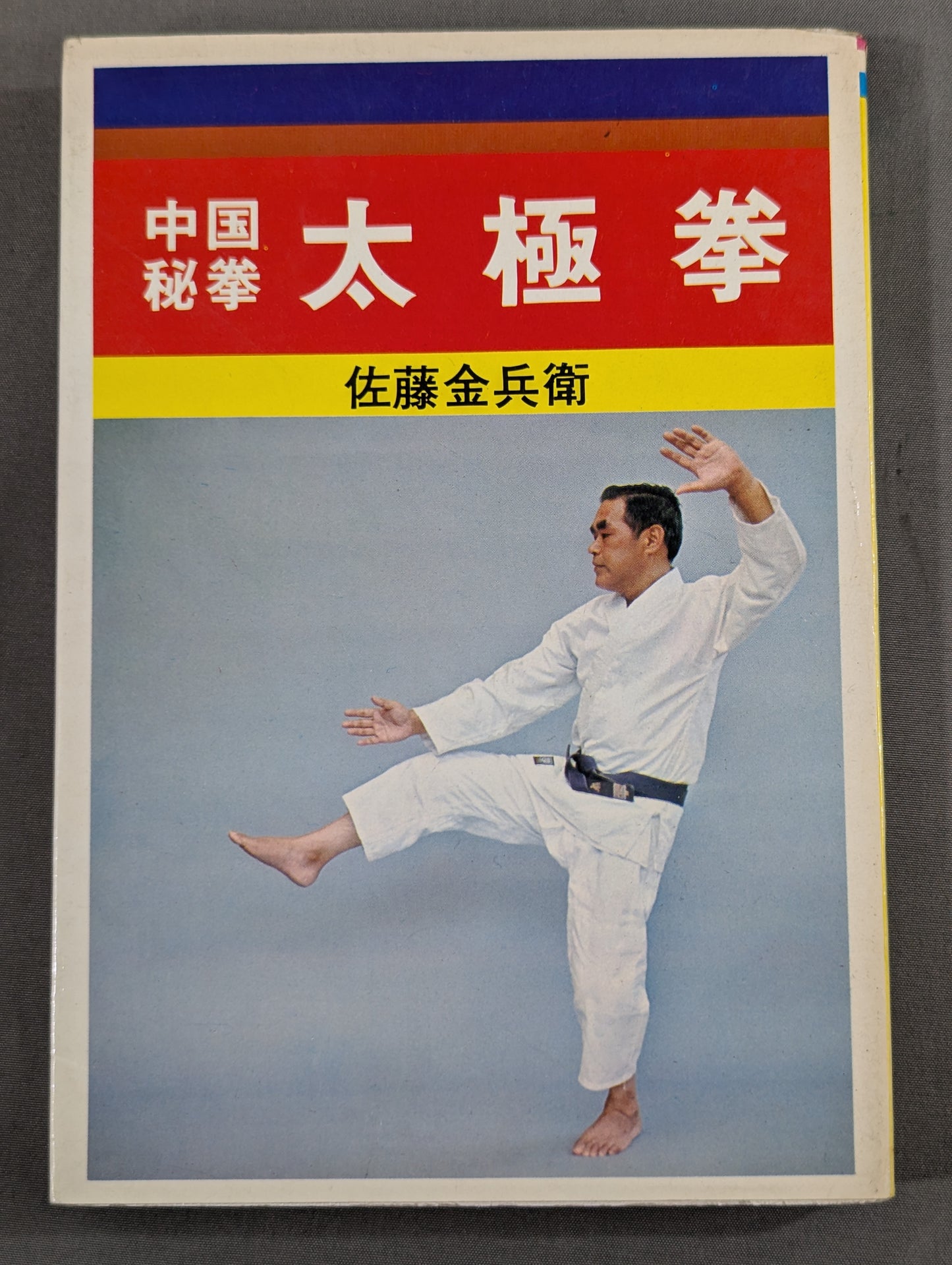 中国秘拳 太極拳