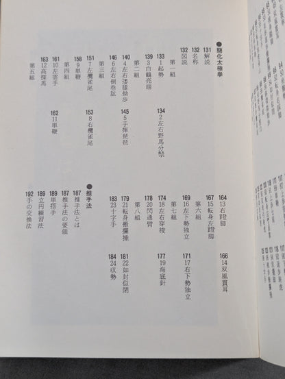 中国秘拳 太極拳