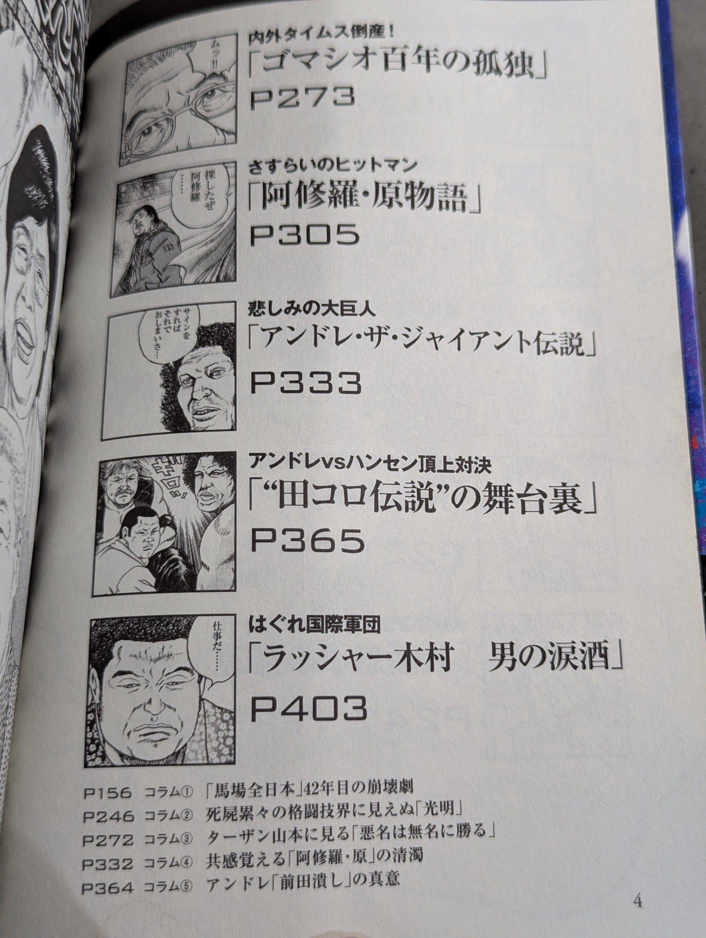 Pro Wrestling  Hell Hentai