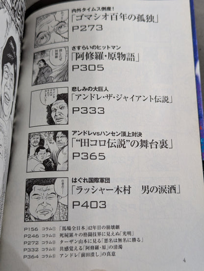 Pro Wrestling  Hell Hentai