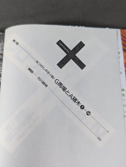 [Paperback edition, 11-volume set] Pro Wrestling Superstar Retsuden