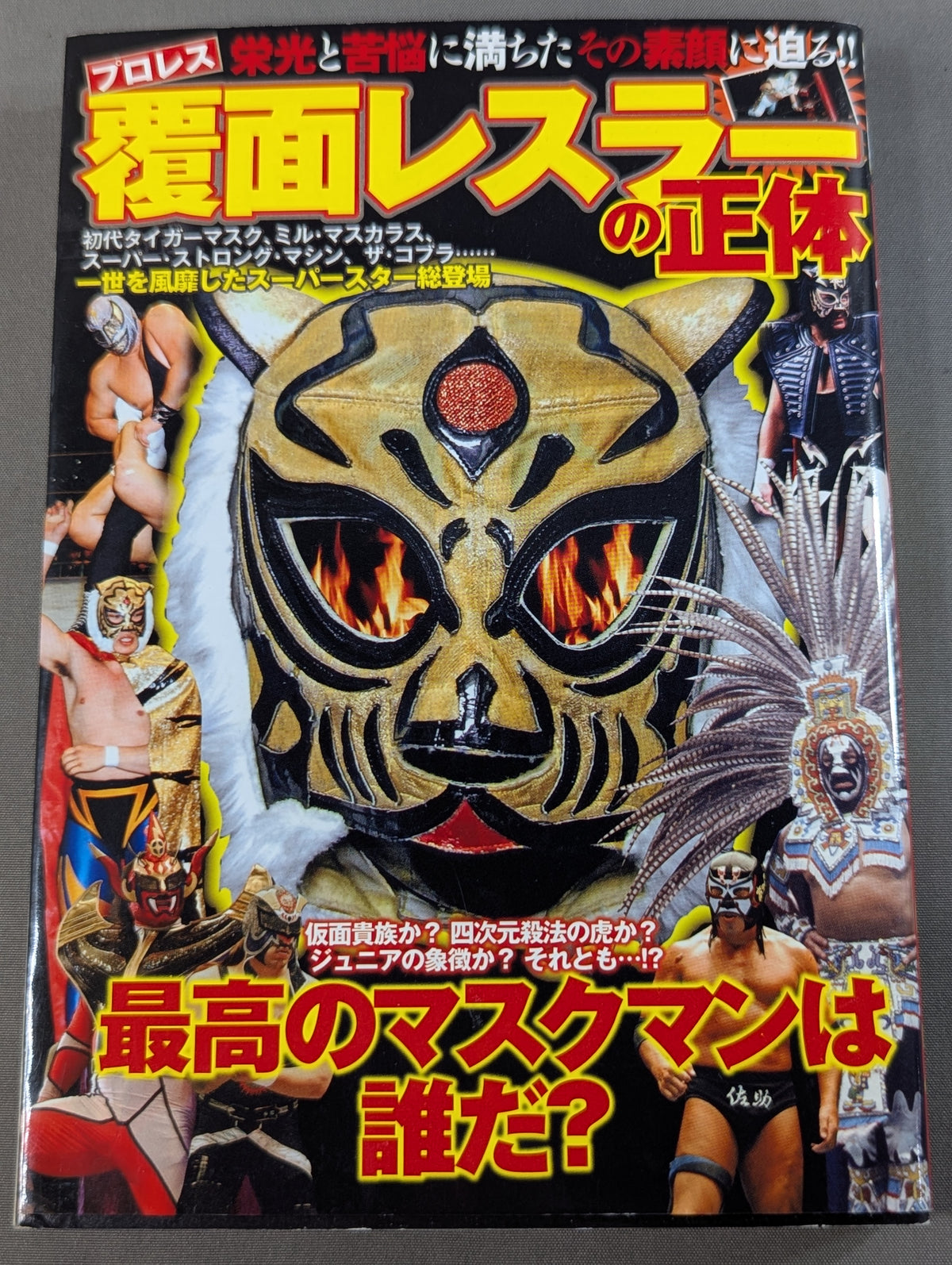 プロレス 覆面レスラーの正体