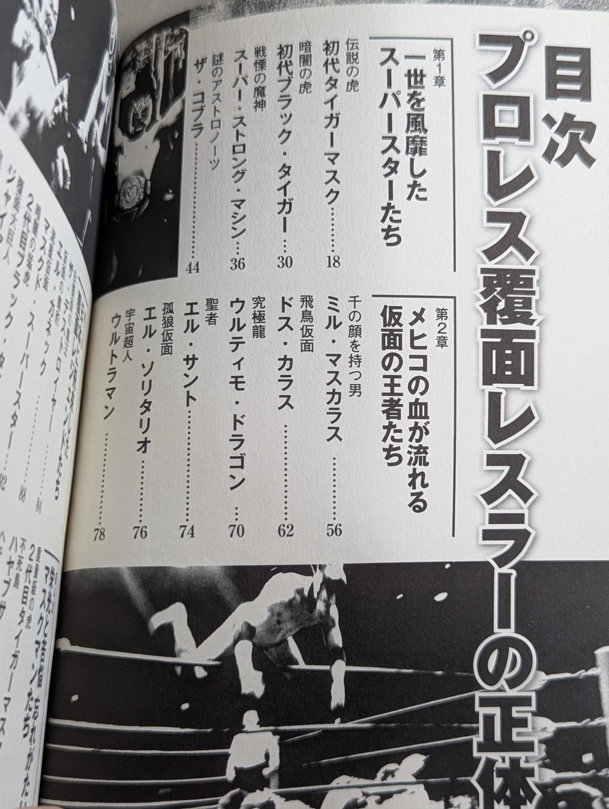 プロレス 覆面レスラーの正体