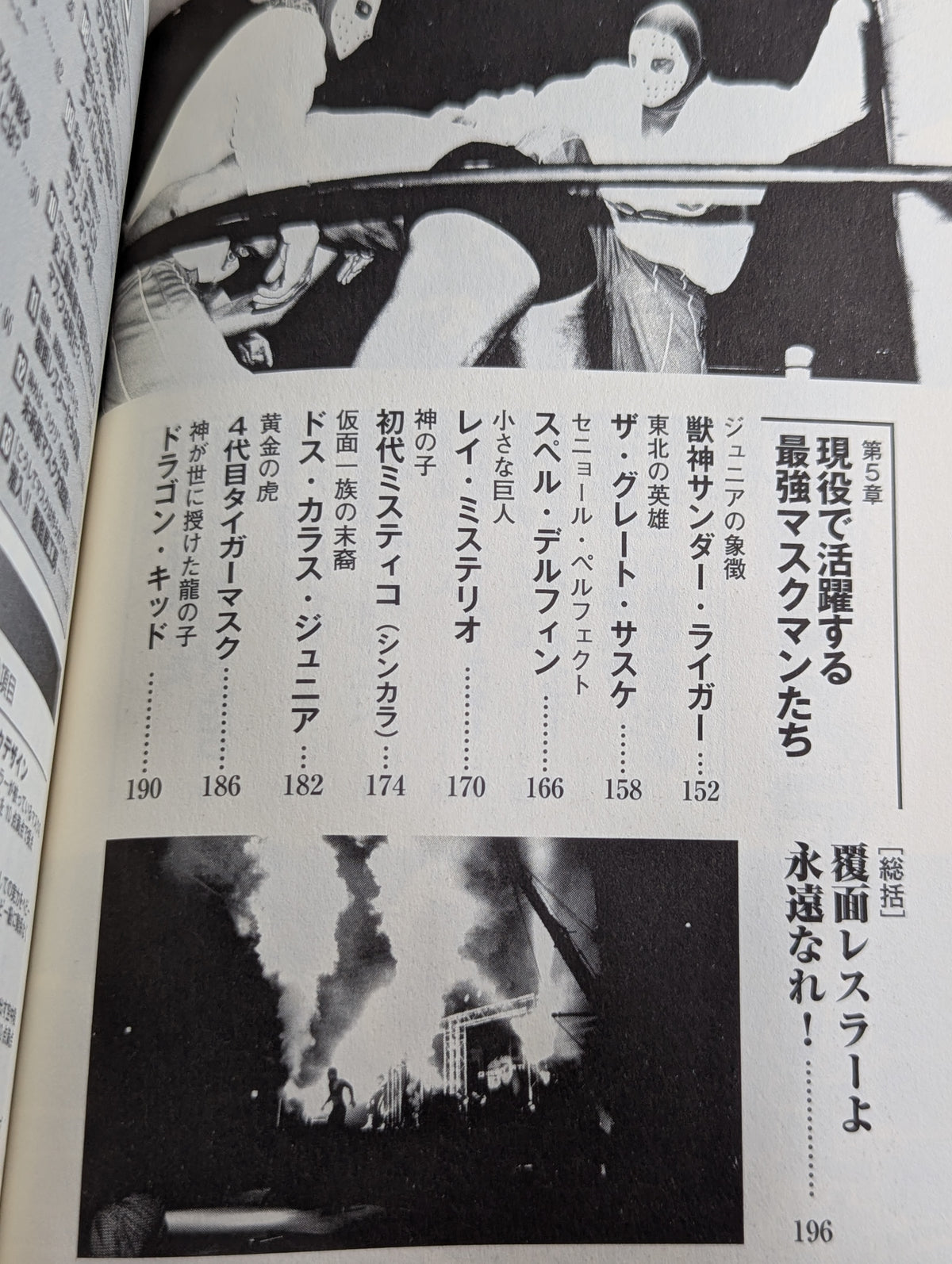 プロレス 覆面レスラーの正体