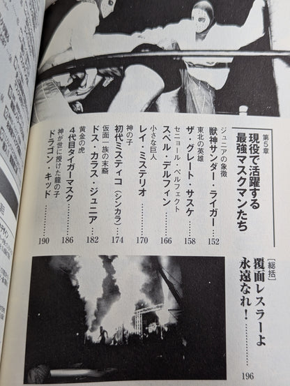プロレス 覆面レスラーの正体