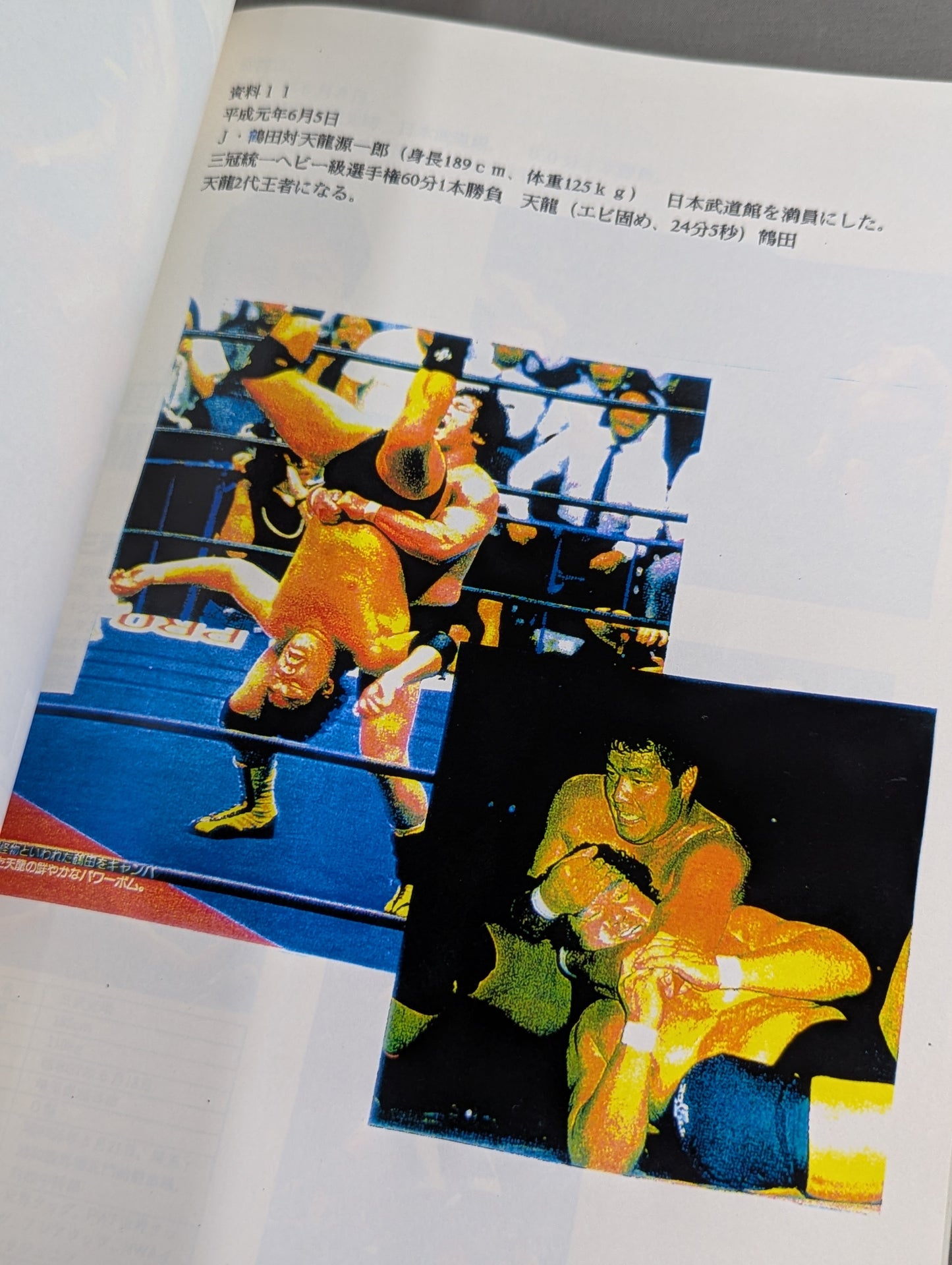 現代レスリングが直面する課題  ‐ジャンボ・鶴田の理論と実際‐