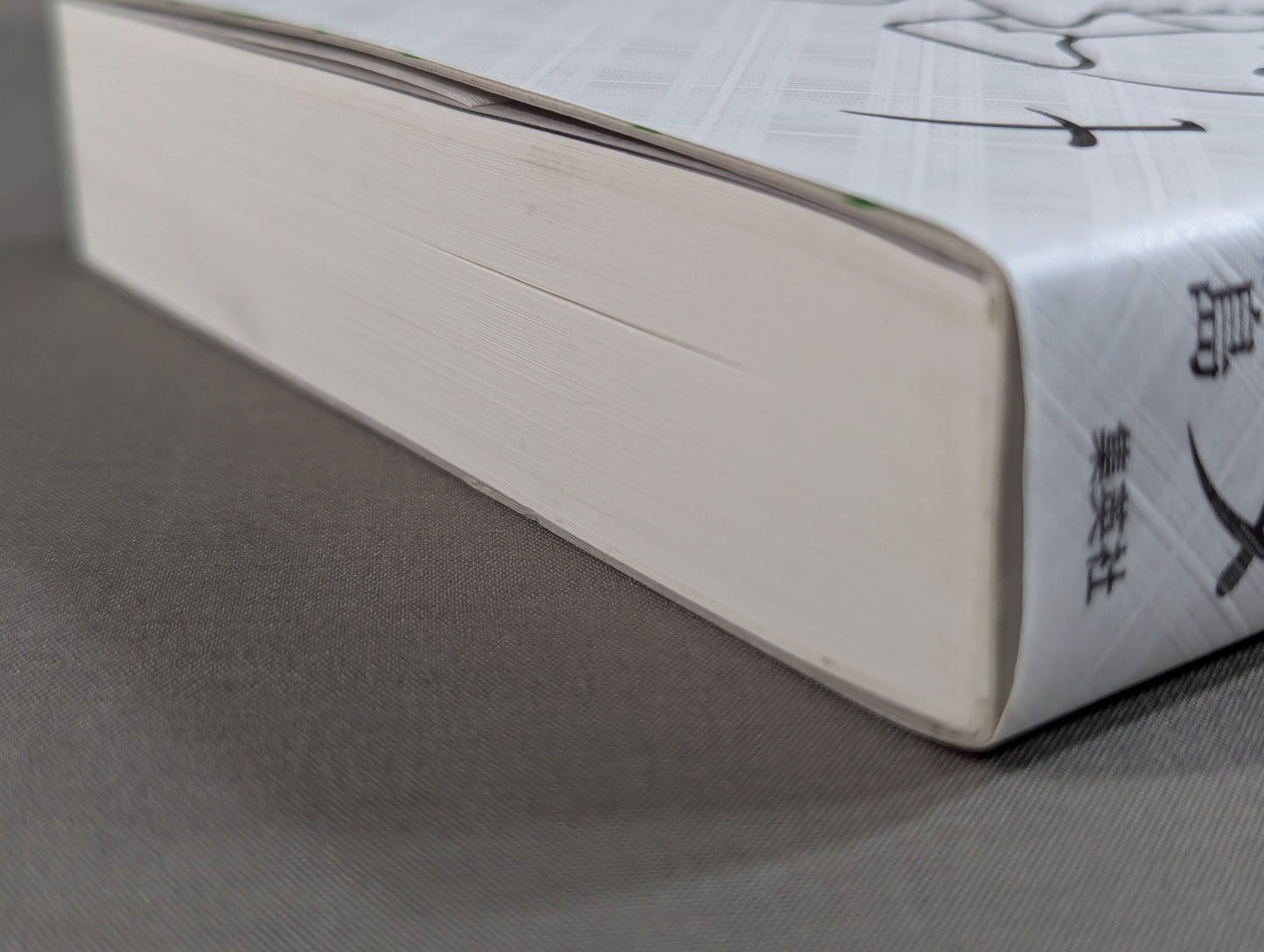 プロレス社会学のススメ コロナ時代を読み解くヒント