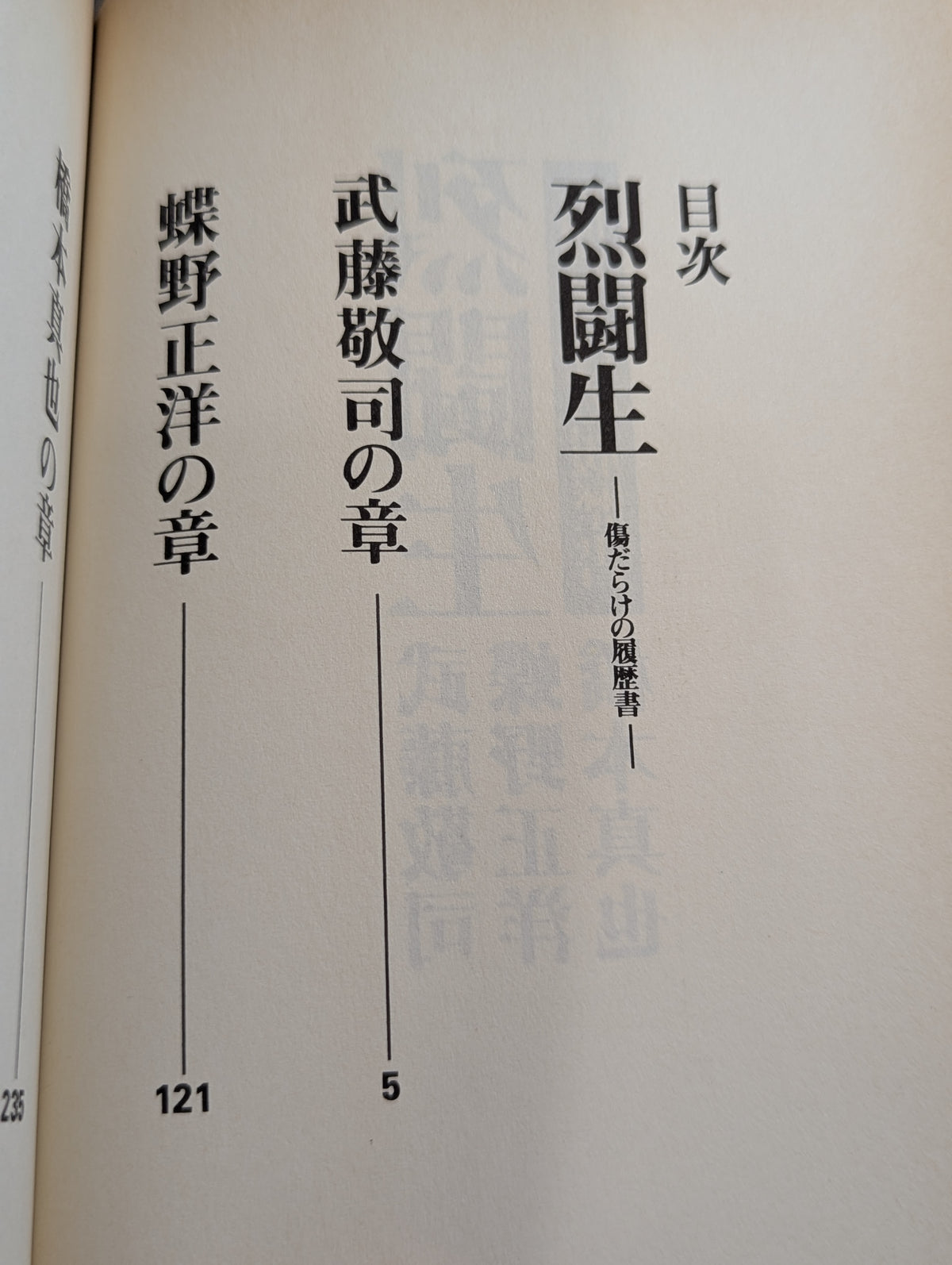 Fierce Fighter Resume Full of Scars