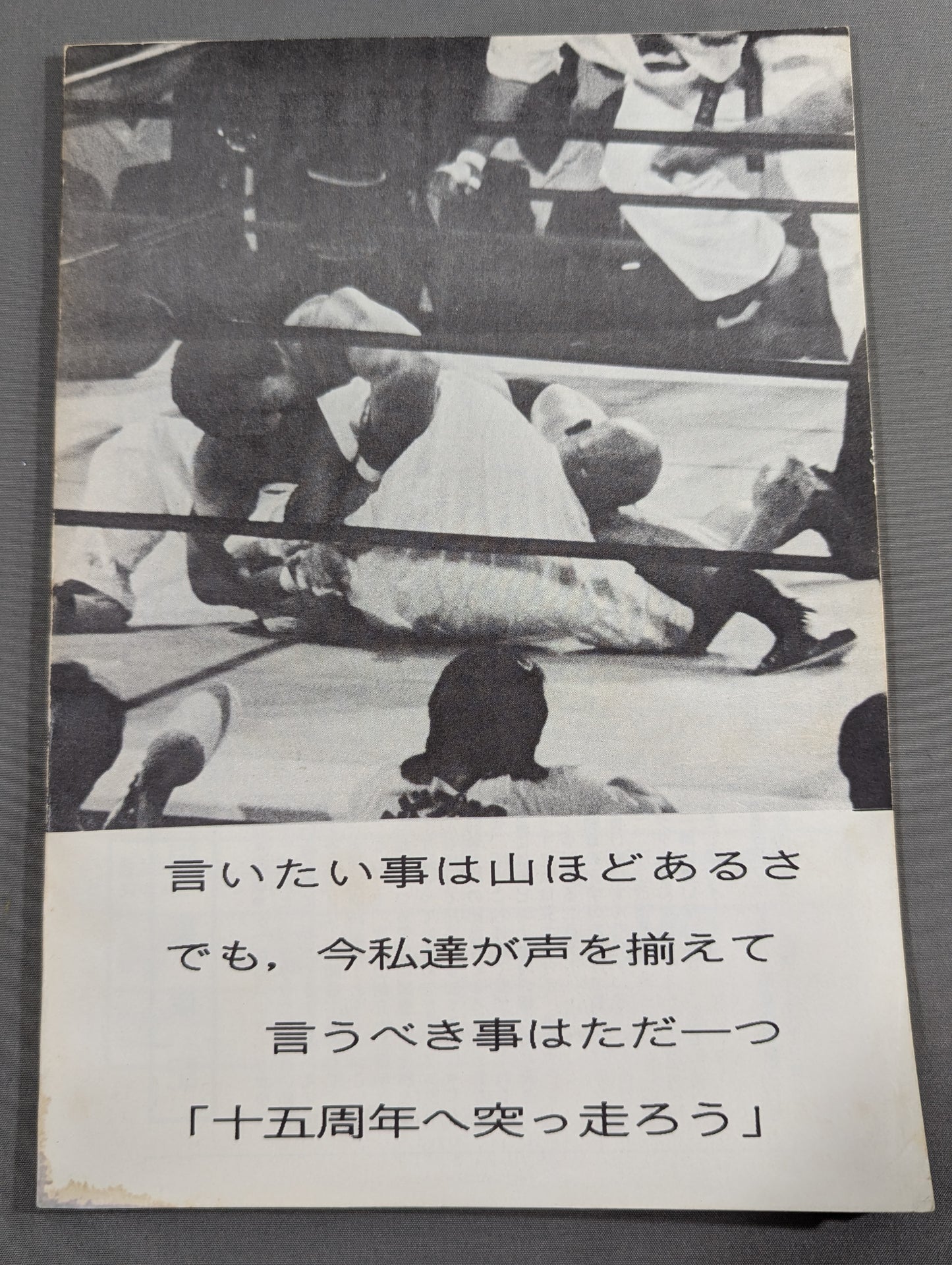 ★藤波辰爾ファンクラブ闘竜★ 会報第55号