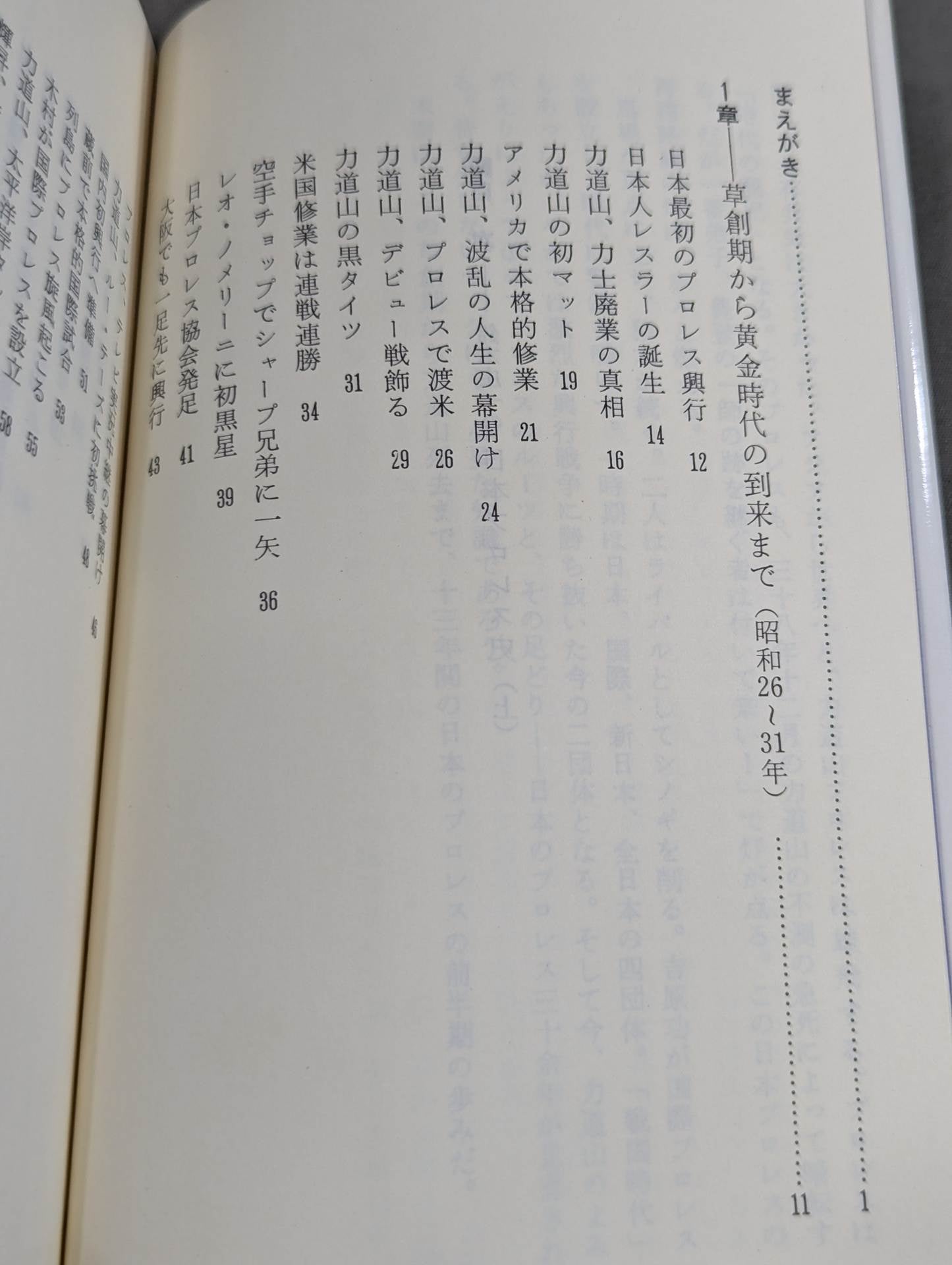 鈴木庄一の日本プロレス史・上 力道山時代 – 闘道館