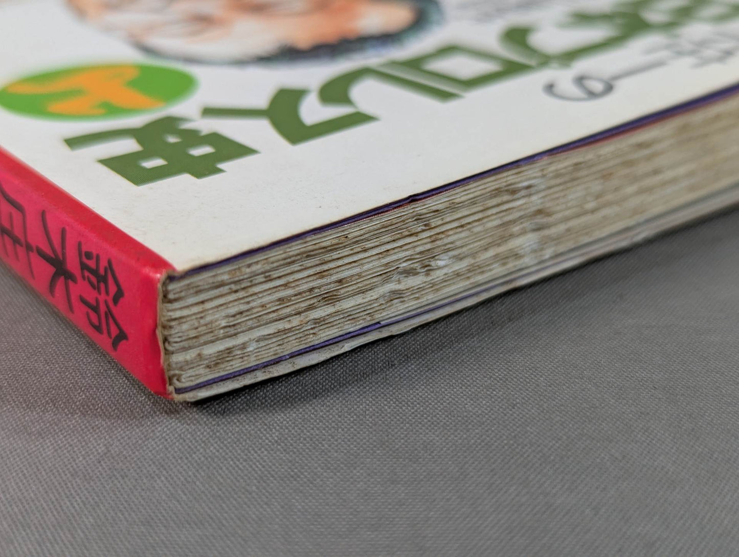 鈴木庄一の日本プロレス史・上 力道山時代