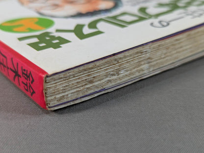 鈴木庄一の日本プロレス史・上 力道山時代