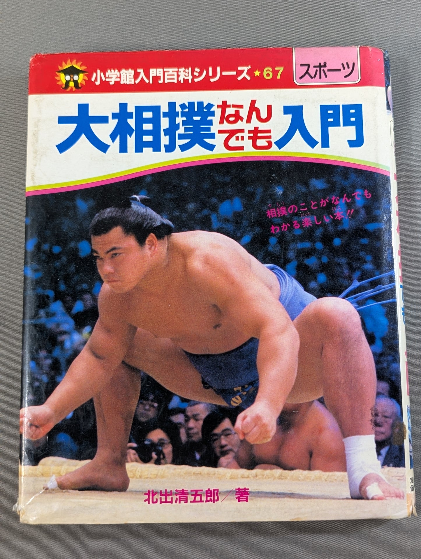 Sumo Basics: Shogakukan Introductory Encyclopedia Series 67