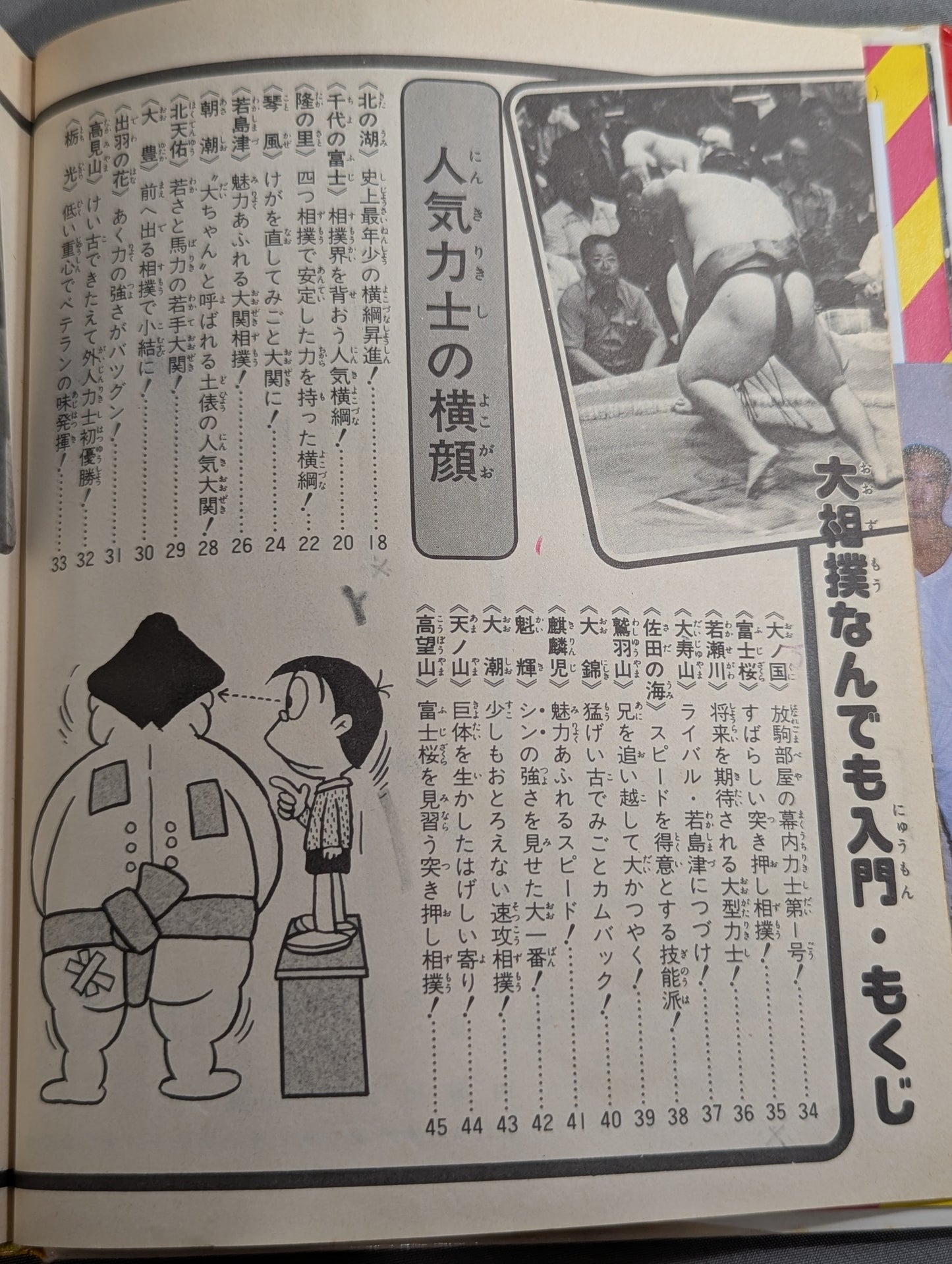 Sumo Basics: Shogakukan Introductory Encyclopedia Series 67