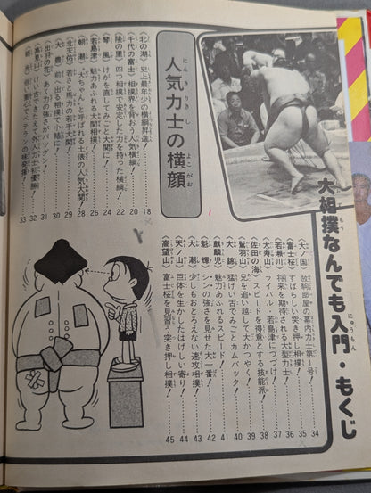 Sumo Basics: Shogakukan Introductory Encyclopedia Series 67