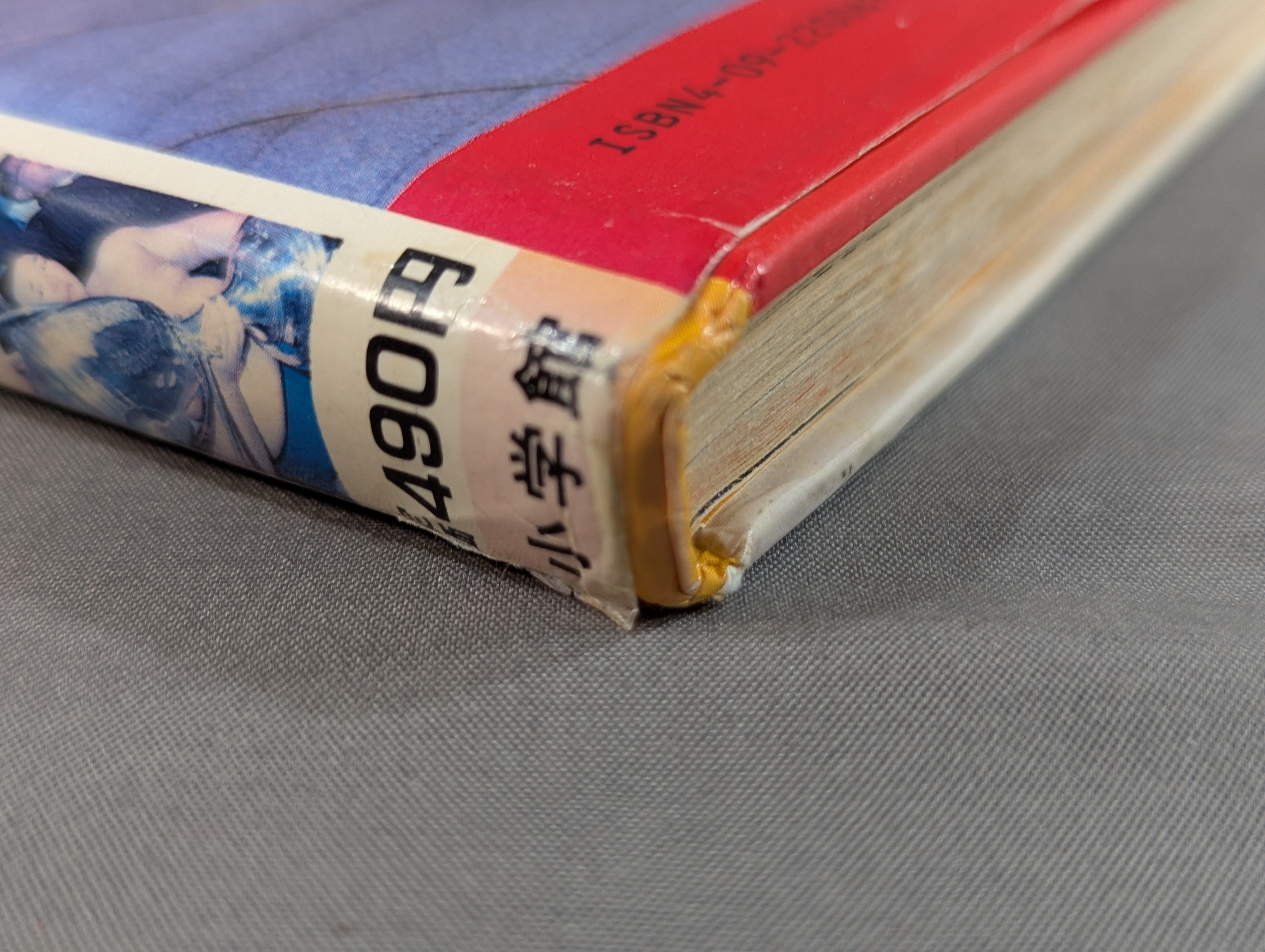Sumo Basics: Shogakukan Introductory Encyclopedia Series 67 – 闘道館
