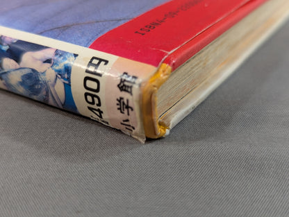 Sumo Basics: Shogakukan Introductory Encyclopedia Series 67