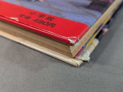 Sumo Basics: Shogakukan Introductory Encyclopedia Series 67