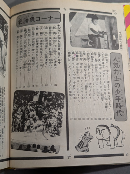 Sumo Basics: Shogakukan Introductory Encyclopedia Series 67