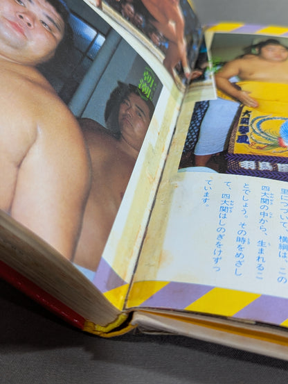 Sumo Basics: Shogakukan Introductory Encyclopedia Series 67
