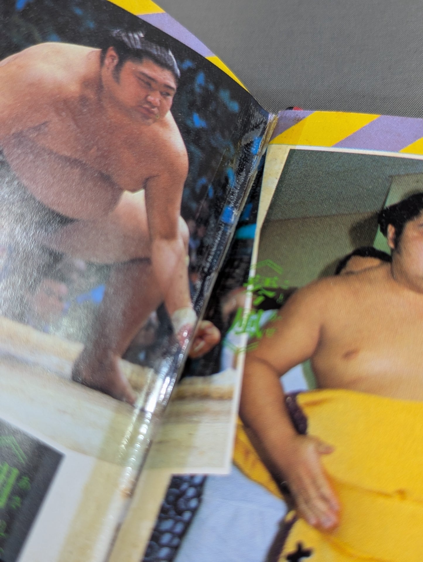 Sumo Basics: Shogakukan Introductory Encyclopedia Series 67