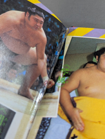 Sumo Basics: Shogakukan Introductory Encyclopedia Series 67
