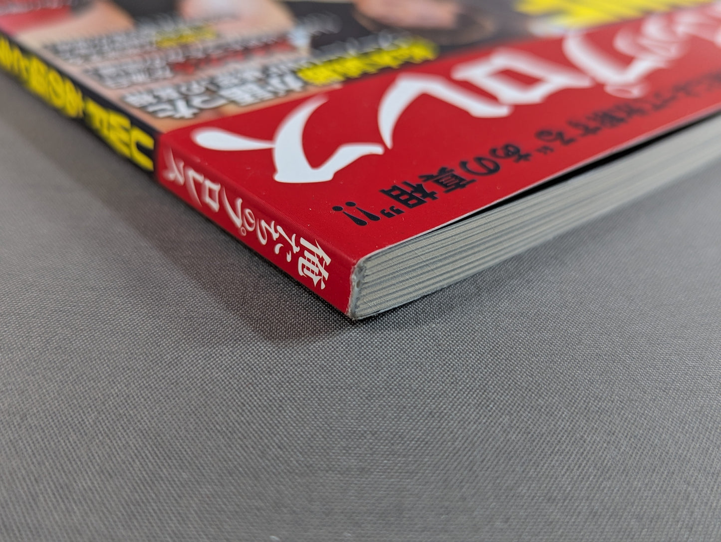 俺たちのプロレス Vol.1 UWFあの頃と今 12名の証言で浮かび上あがった「UWF30年目の真実」