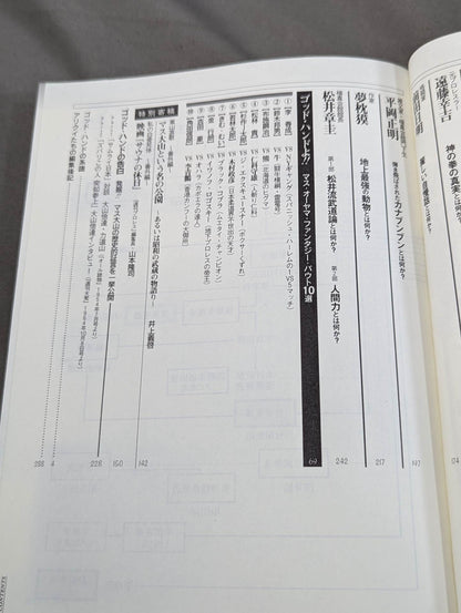 What is Mas Oyama (Masutatsu Oyama) ?