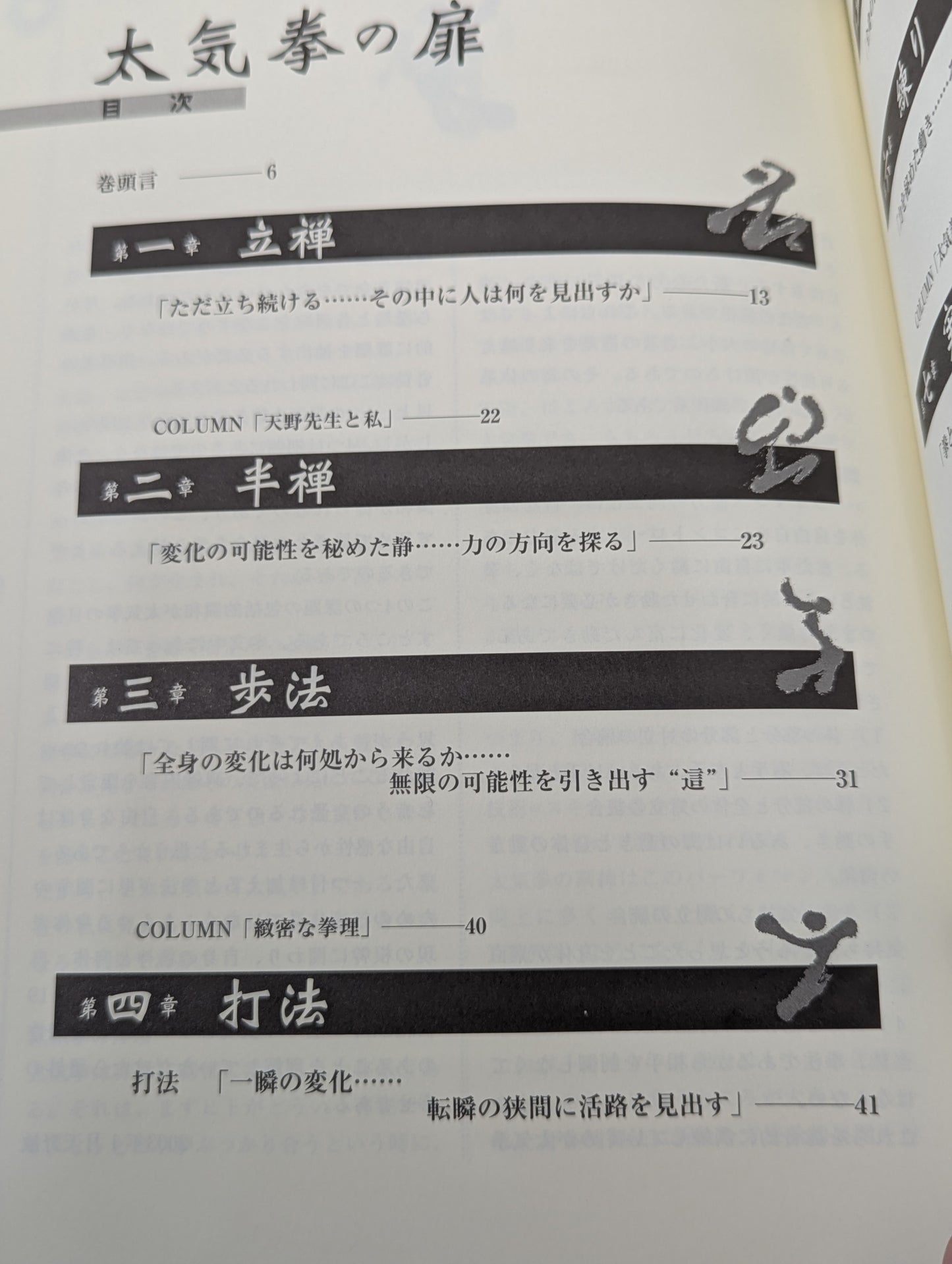 The Door of Tai Chi From Kenichi Sawai to Satoshi Amano Now is the time for Tai Chi Chun to be revealed!