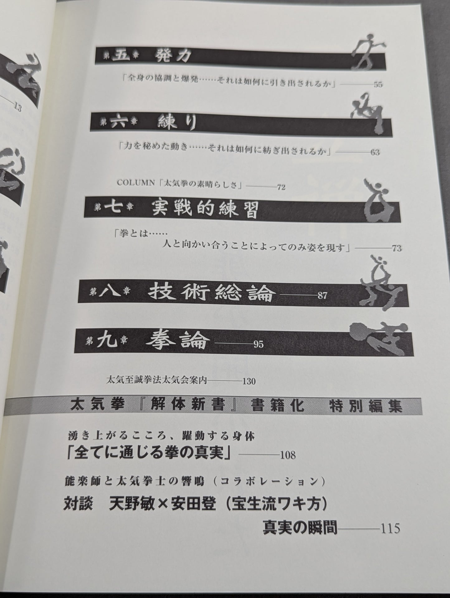 The Door of Tai Chi From Kenichi Sawai to Satoshi Amano Now is the time for Tai Chi Chun to be revealed!