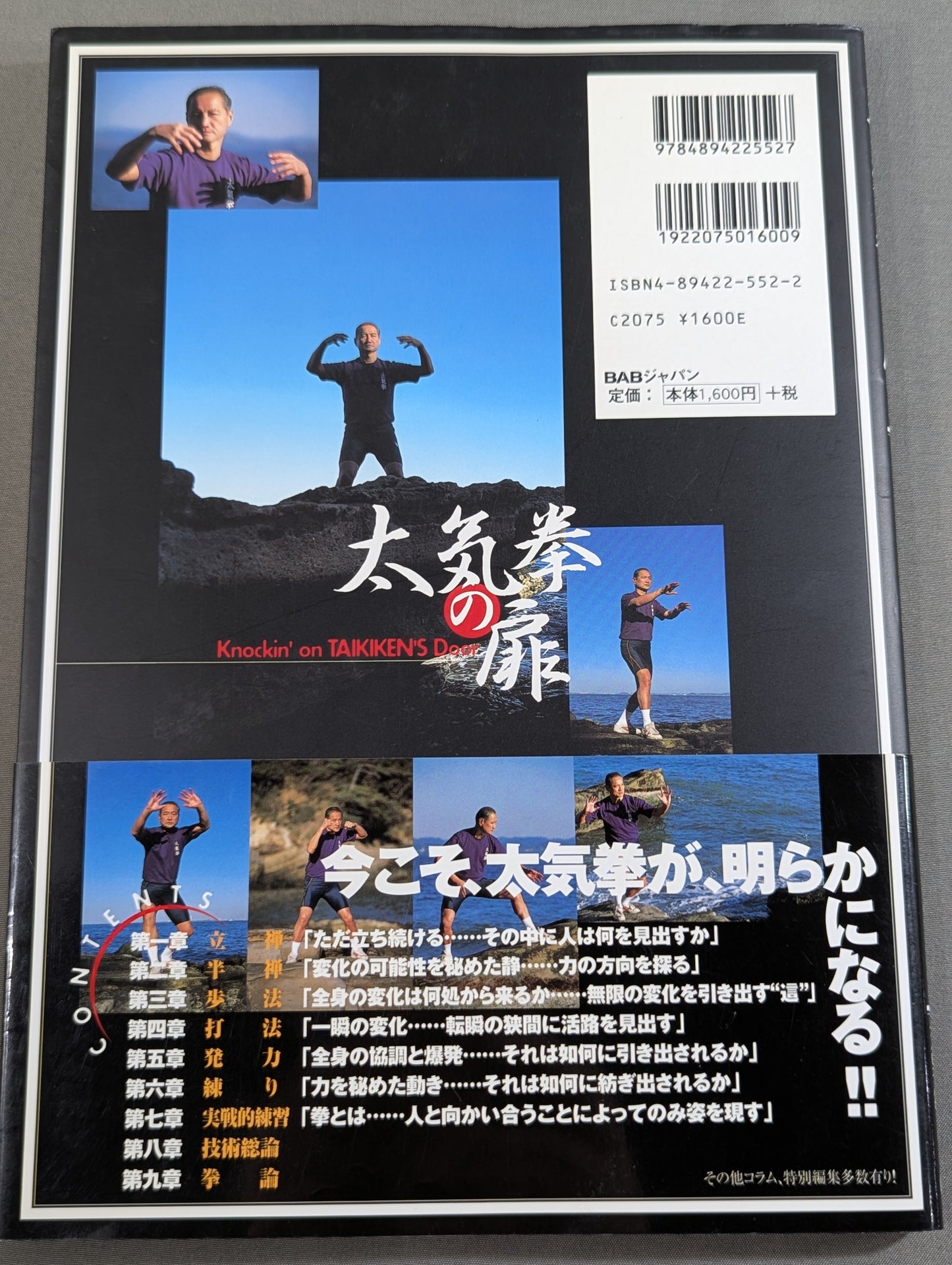 The Door of Tai Chi From Kenichi Sawai to Satoshi Amano Now is the time for Tai Chi Chun to be revealed!